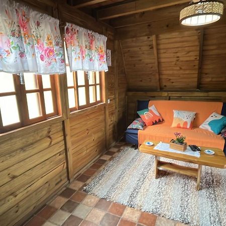 Pousada Pedra Da Mata Chales Na Montanha Munhoz Екстериор снимка