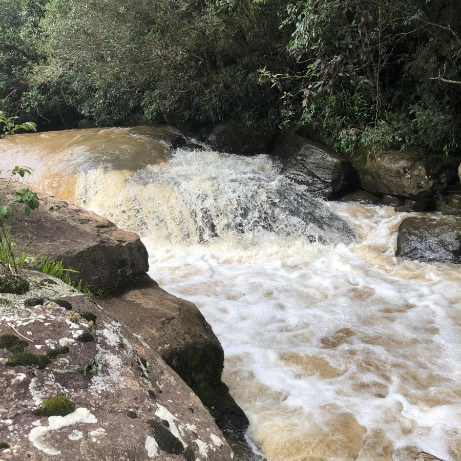Pousada Pedra Da Mata Chales Na Montanha Munhoz Екстериор снимка