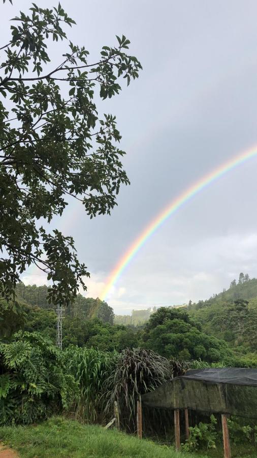 Pousada Pedra Da Mata Chales Na Montanha Munhoz Екстериор снимка