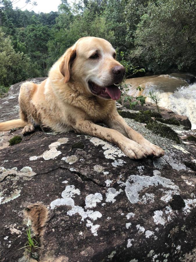 Pousada Pedra Da Mata Chales Na Montanha Munhoz Екстериор снимка