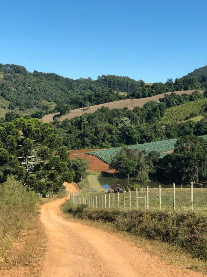 Pousada Pedra Da Mata Chales Na Montanha Munhoz Екстериор снимка